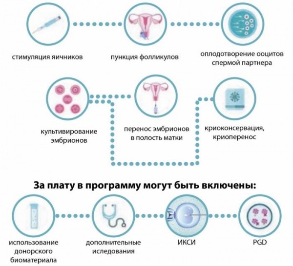 6 бесплатных медицинских услуг, которые надо получать по ОМС