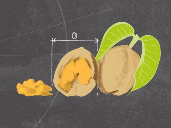 Intermittent fasting: Facts vs myths