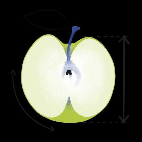 Protein for muscle mass: What is the optimal intake?