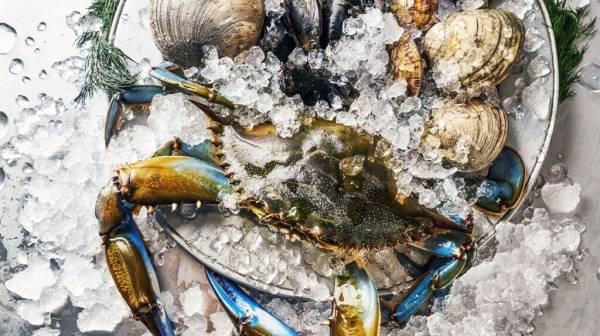 Brain health: Right amount of copper in diet may be beneficial