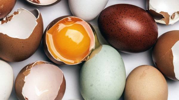 Alzheimer's: Eating eggs linked to less buildup of toxic proteins