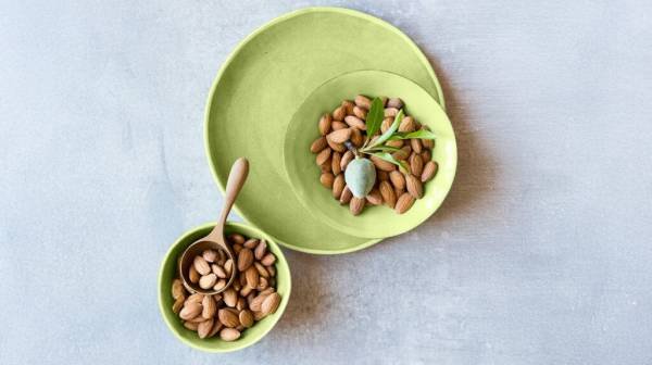 Could eating almonds daily help prolong the health span?