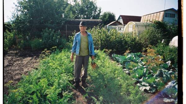 Aging: 3 diets may reduce diabetes, dementia, and heart disease risk