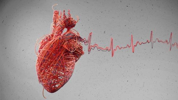 Could bacterial infections trigger heart attacks?