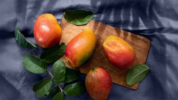 Do mangoes have any benefits for diabetes prevention?