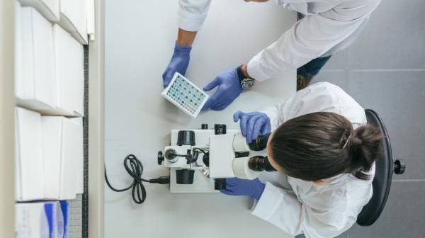 Alzheimer's: Experimental treatment restores memory in mice