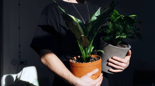 Longevity: Expert tips for staying active as we age Longevity: Expert tips for staying active as we age